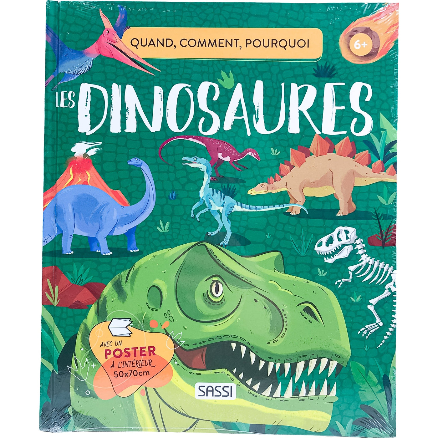 Livre documentaire "Quoi, Comment, Pourquoi : Les dinosaures" de seconde main pour enfant à partir de 6 ans - photo principale